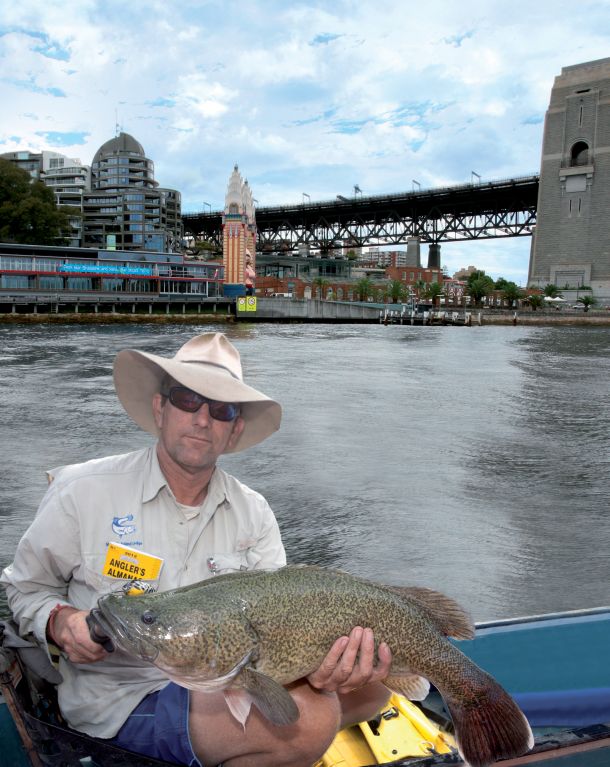 Lost cod caught in Sydney Harbour!